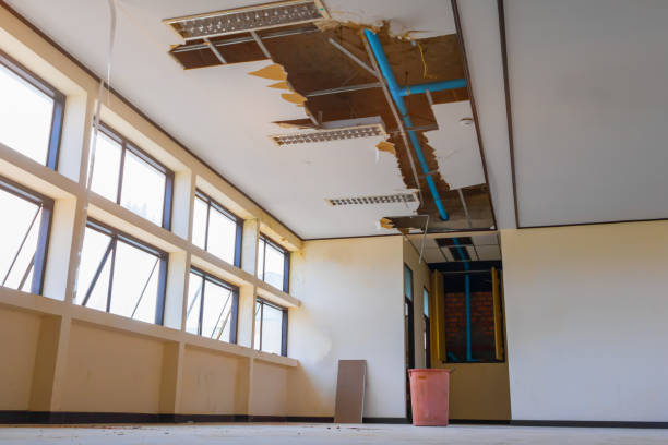 Best Flood restoration services  in Aurora, MN