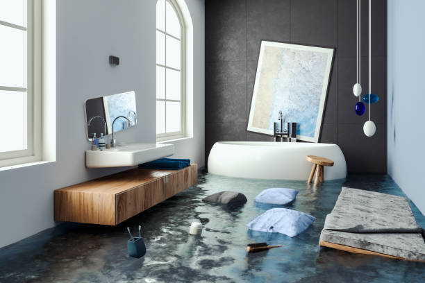 Best 24/7 water damage repair  in Aurora, MN