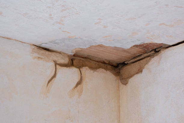  Aurora, MN Water damage restoration Pros