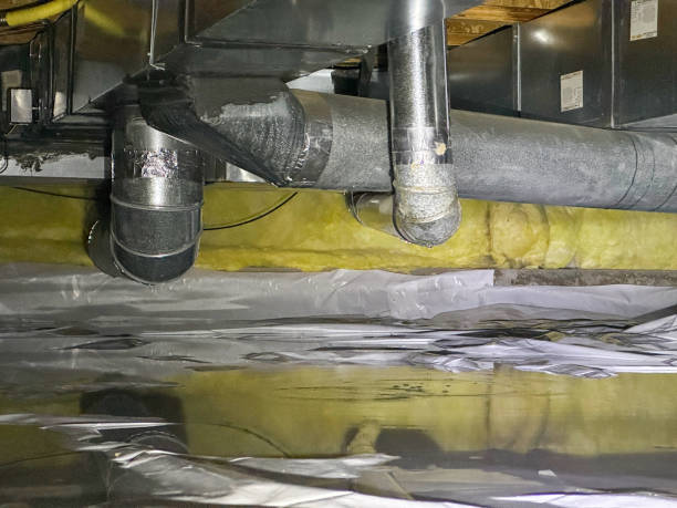 Best Water damage mitigation services  in Aurora, MN