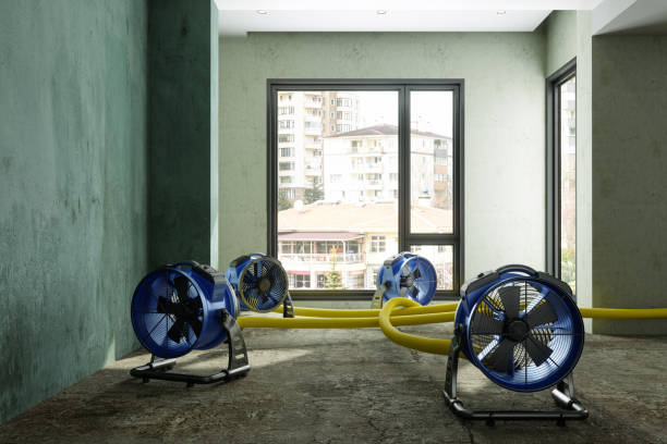 Best Sewage cleanup and water damage restoration  in Aurora, MN